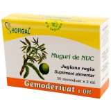 Gemoderivat muguri nuc 2ml*30mdz, Hofigal