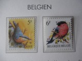 Belgia-Fauna ,pasari-serie completa -nestampilate(din seria lunga), Nestampilat