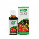 Tinctură A.VOGEL Uva-Ursi cu Urs și Echinacea pentru sistemul urinar 50 ml