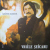 Vasile Seicaru ‎- Iubirea noastra (1987 - Electrecord - LP / VG), VINIL, Folk