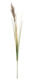 Cumpara ieftin Set 25 flori Pampas artificial 12.7x110 cm