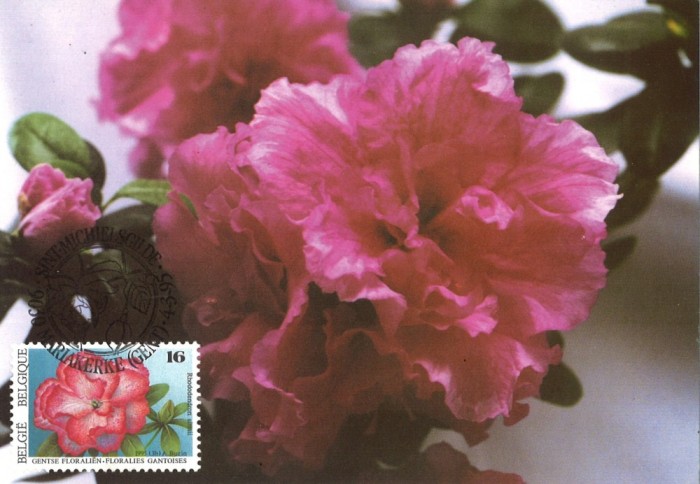 Belgia, florailles maxima