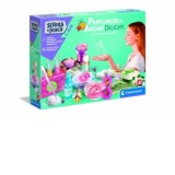 Parfumuri Arome Delicate