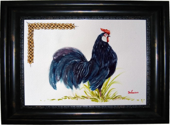 Acuarela neinramata cocos negru