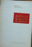 Cofraje Glisante: Tehnica si Utilizari - Tudor Dinescu, Andrei Sandru