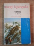 MUNTII FAGARASULUI de V. BALACEANU, M. CICOTTI, E. CRISTEA 1975