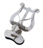 Lira Stativ Partituri Riedl 203 Argintiu Trompeta Trombon Saxofon Sopran - Suport Alama, Prindere Clopot, Protectie Curea