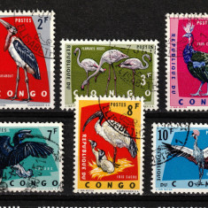 Timbre Congo, 1963 | Păsări indigene, africane - Natură | Serie completă | aph