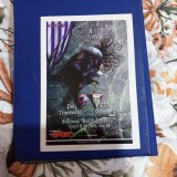 program Poli Timisoara - CFR Ecomax Cluj