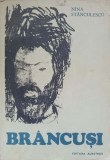 Brancusi - Nina Stanculescu, Album de Arta, Editura Albatros 1981, 164 pagini, Carte in Romana