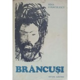 BRANCUSI-NINA STANCULESCU-224263