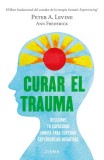 Curar El Trauma