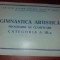 GIMNASTICA ARTISTICA PROGRAMUL DE CLASIFICARE CATEGORIA A III-A