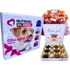 Recompense Caini LK BAITS Pet Nutrigel Collagen, Colectie Asortata foto