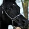 Husa Personalizata ALLVIEW A5 Smiley Black Horse