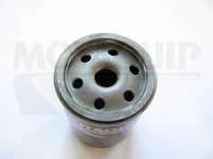 MOTAQUIP VFL117 Filtru ulei foto