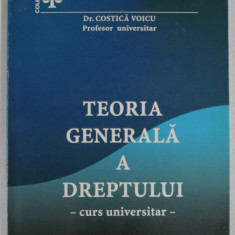 TEORIA GENERALA A DREPTULUI , CURS UNIVERSITAR de COSTICA VOICU , 2004