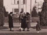 Timișoara, Bulevardul Regele Ferdinand I, circ. 14 feb. 1939, reclamă Mott, 205