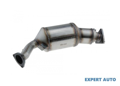 Filtru particule Audi A6 Allroad quattro (2006-2008) [4F, C6] #1 foto