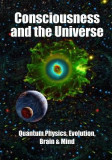 Consciousness and the Universe: Quantum Physics, Evolution, Brain &amp; Mind