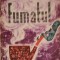 FUMATUL-I. BORDEIANU-253628
