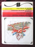 ATLAS PRACTIC DE ANATOMIE VETERINARA / COMPENDIUM PRACTICUM ANATOMICUM VETERINARIUM / ATLAS PRATIQUE D&#039;ANATOMIE VETERINAIRE, Eugeniu Pasta, 1979, Alta editura