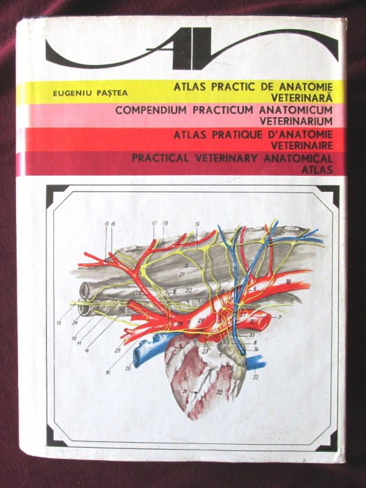 ATLAS PRACTIC DE ANATOMIE VETERINARA / COMPENDIUM PRACTICUM ANATOMICUM VETERINARIUM / ATLAS PRATIQUE D&#039;ANATOMIE VETERINAIRE, Eugeniu Pasta, 1979