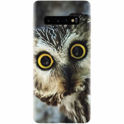Husa silicon pentru Samsung Galaxy S10 Plus, Owl foto