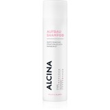 Alcina Color &amp; Blond sampon pentru regenerare pentru păr vopsit 250 ml