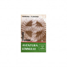 Aventura lemnului foto