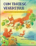 Cum traiesc veveritele | Friederun Reichenstetter