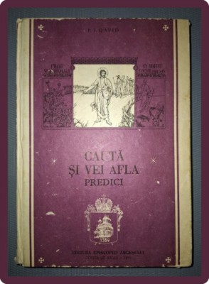 P. I. DAVID - CAUTA SI VEI AFLA * PREDICI foto