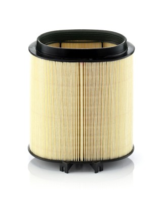 MANN-FILTER C 1869 Filtru aer foto