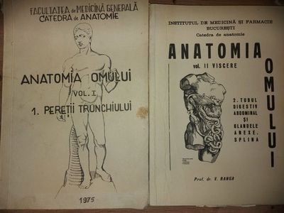 Anatomia omului Peretii trunchiului Viscere, 2- V. Ranga foto