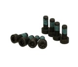 Set surub volanta Luk 411015910