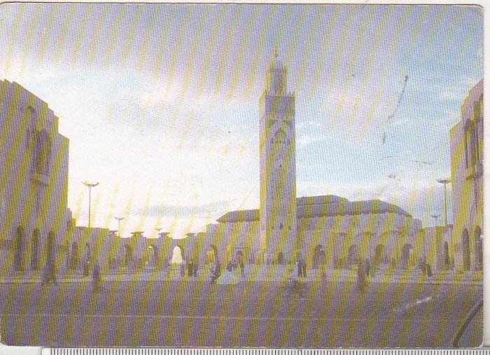 bnk cp Maroc - Casablanca - Marea Moschee Hasan II - necirculata