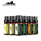 Set 6 uleiuri esentiale - Portocala Lemongrass Lamaie Tea Tree Musetel Vetiver M2 - 6 x 10 ml, Oem