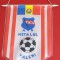 Fanion Fotbal - AS &quot;METALUL&quot; VALENII de MUNTE