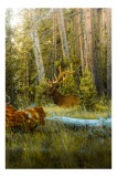 Tablou Canvas, "Elan pe Fundal de Pădure Bătr&acirc;nă", Pădure, Cerb, Coarne, Lumină, Copaci, Vegetație, Natură, Serenitate, 26 x 39 cm, CMCLASS