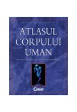 Cumpara ieftin Atlasul corpului uman, Corint