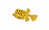 Figurina Peste Cubicus Bo-fish S Collecta