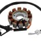 Stator aprindere Barton Hummer 180cc Cod Produs: MX_NEW ISKMIK018