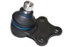 Pivot Suspensie 141855 70780