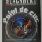 PUIUL DE CUC , roman de CAMILLA LACKBERG , 2024