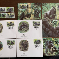 rwanda - gorila - serie 4 timbre MNH, 4 FDC, 4 maxime, fauna wwf