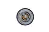 NRF 725174 EASY FIT termostat,lichid racire