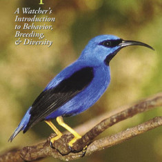 Birds of Tropical America: A Watcher's Introduction to Behavior, Breeding, and Diversity