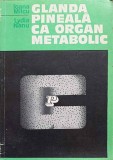 GLANDA PINEALA CA ORGAN METABOLIC-IOANA MILCU, LYDIA NANU-217372