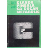 GLANDA PINEALA CA ORGAN METABOLIC-IOANA MILCU, LYDIA NANU-217372