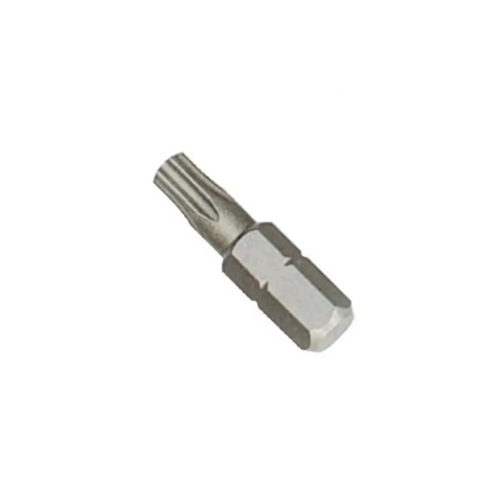 Bit Torx T40, S2, 30mm -